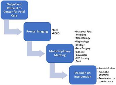 Whole Exome Sequencing in a Population With Severe Congenital Anomalies of Kidney and Urinary Tract